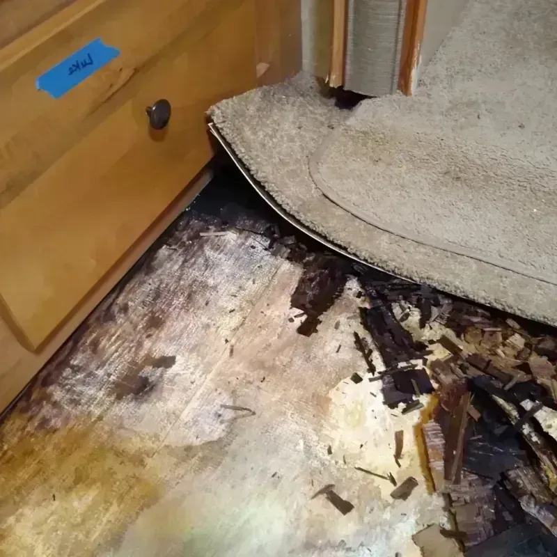 Wood Floor Water Damage in Jefferson County, WA